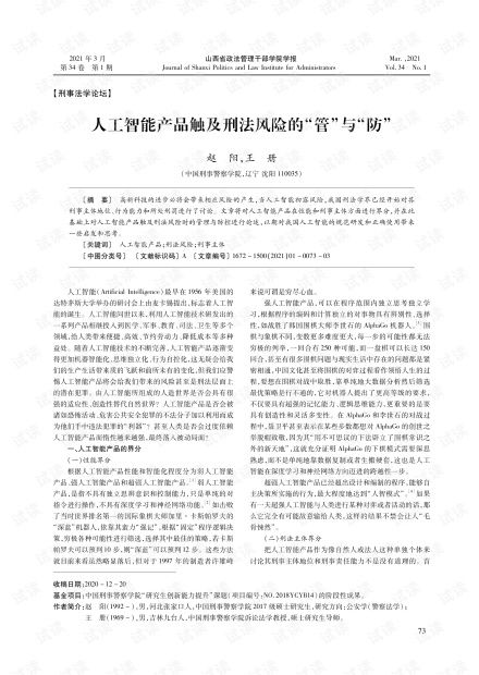 人工智能产品触及刑法风险的管与防 法律框架与技术路径探析